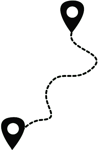 Trajetória Profissional